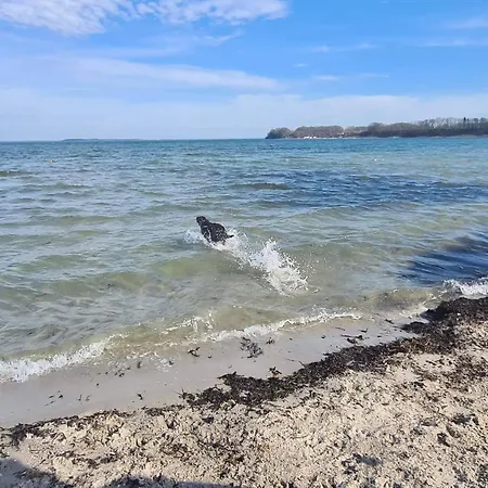 5 Star In Дом отдыха