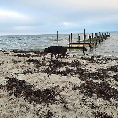 5 Star In Дом отдыха *